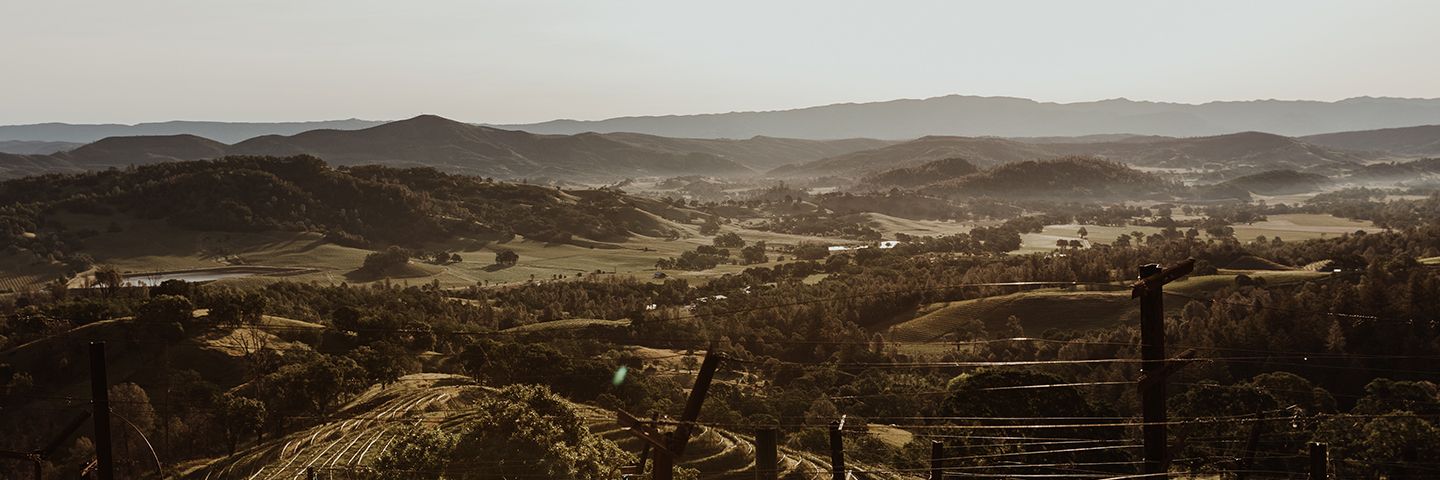 Rolling hills and valleys viewed from a terraced vineyard under a hazy, golden sky.