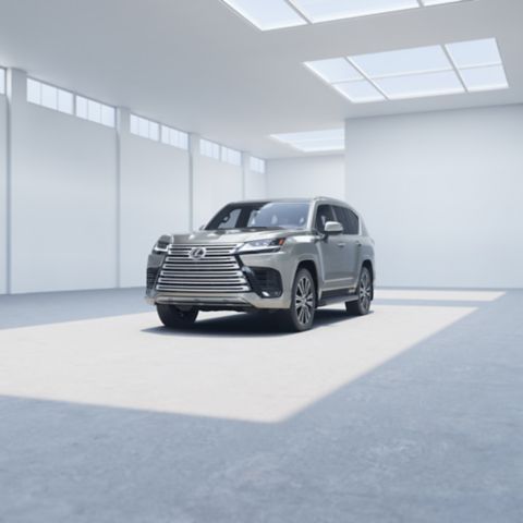 2026 LX