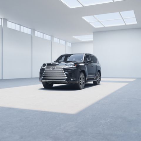 2025 LX