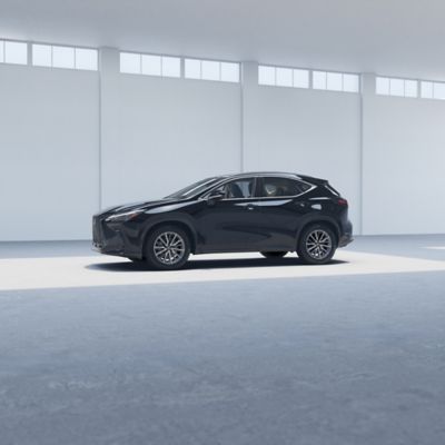 2026 NX