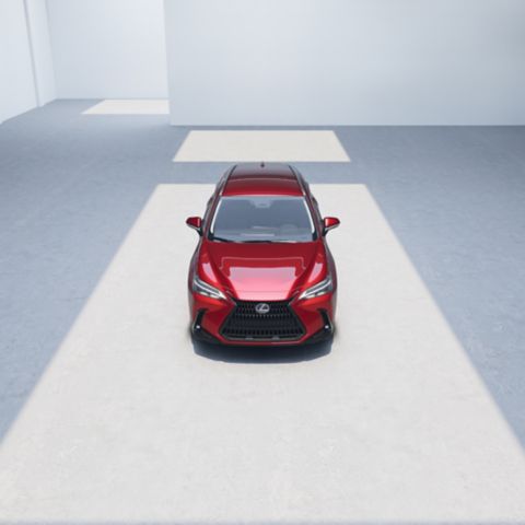 2026 NX