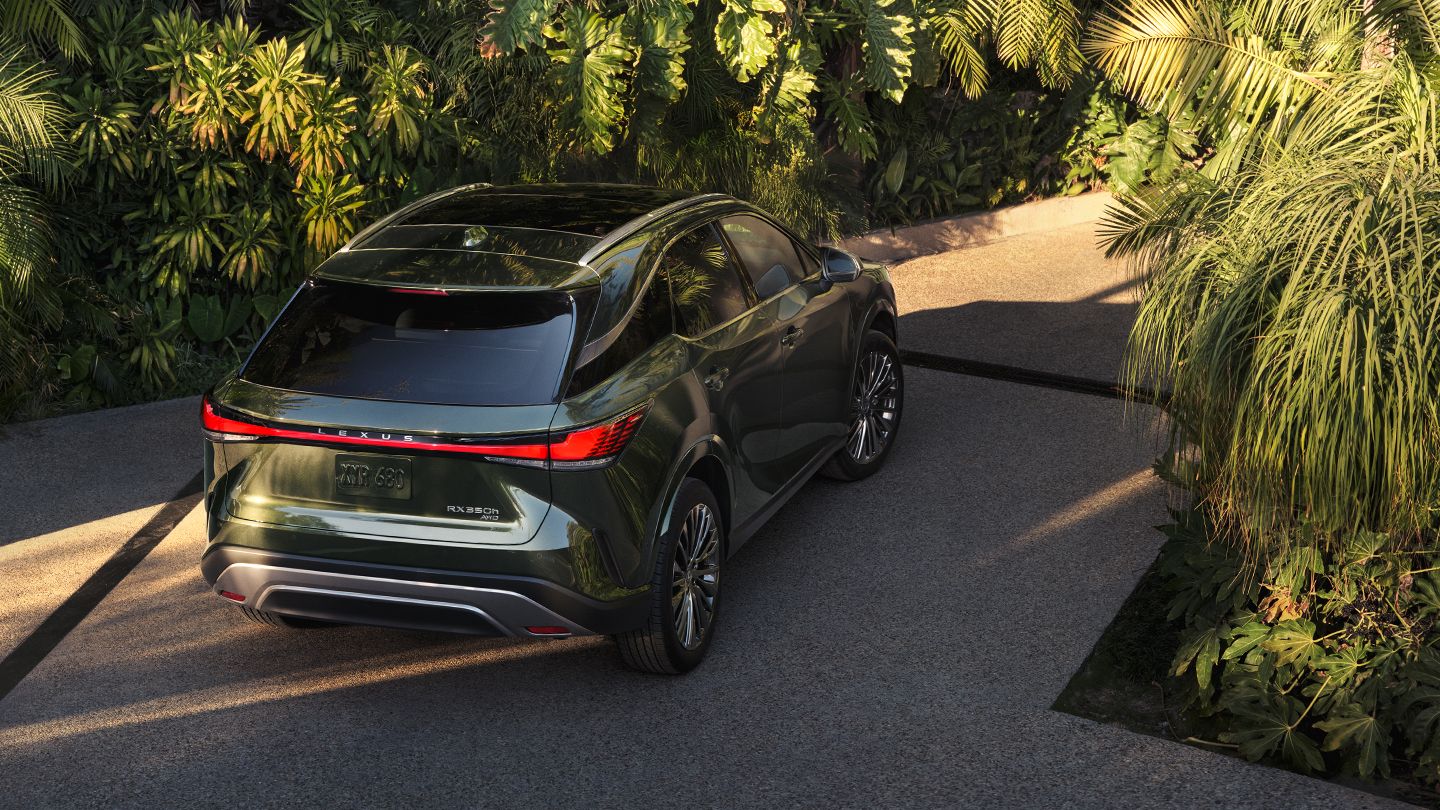 2026 lexus rx rear exterior view